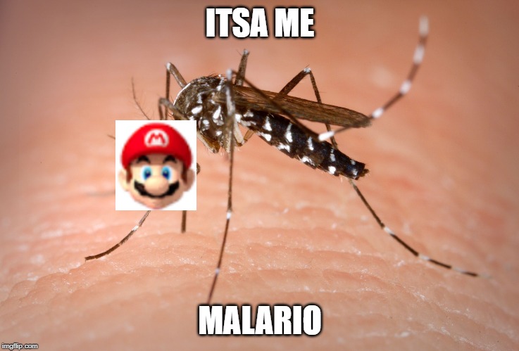 mosquito  | ITSA ME; MALARIO | image tagged in mosquito | made w/ Imgflip meme maker