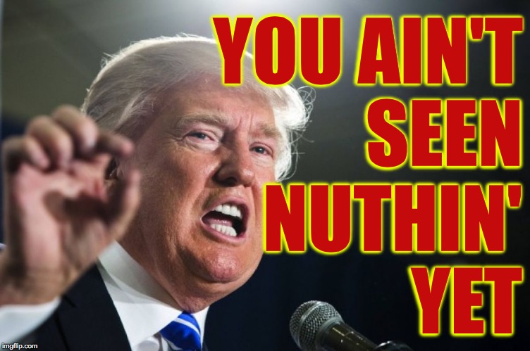 donald trump | YOU AIN'T
SEEN NUTHIN' YET | image tagged in donald trump | made w/ Imgflip meme maker