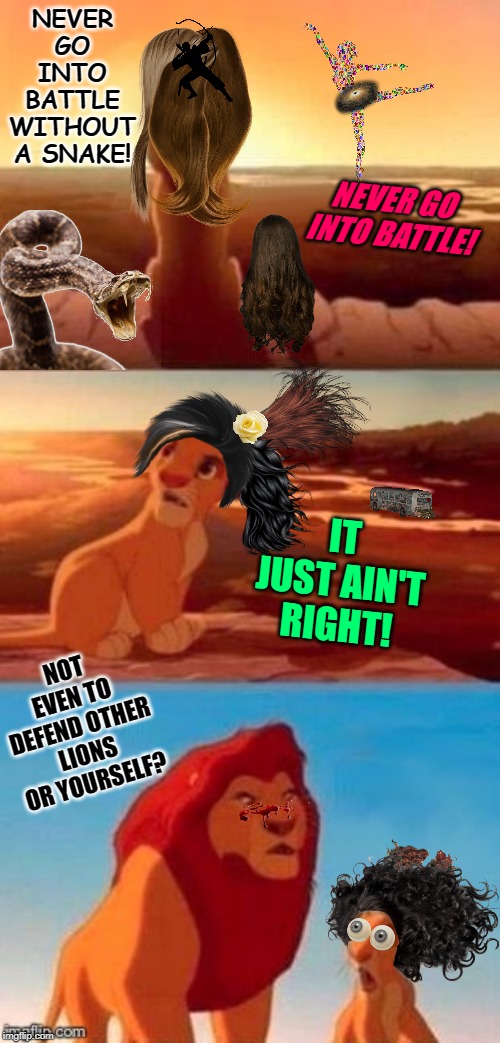 Simba Shadowy Place (blank) | NEVER GO INTO BATTLE WITHOUT A SNAKE! NEVER GO INTO BATTLE! IT JUST AIN'T RIGHT! NOT EVEN TO DEFEND OTHER LIONS OR YOURSELF? | image tagged in simba shadowy place blank | made w/ Imgflip meme maker