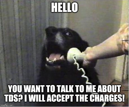 Yes this is dog | HELLO YOU WANT TO TALK TO ME ABOUT TDS? I WILL ACCEPT THE CHARGES! | image tagged in yes this is dog | made w/ Imgflip meme maker