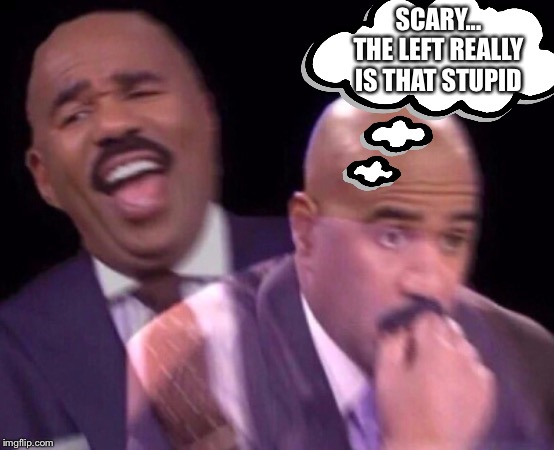 Steve Harvey Laughing Serious | SCARY... THE LEFT REALLY IS THAT STUPID | image tagged in steve harvey laughing serious | made w/ Imgflip meme maker