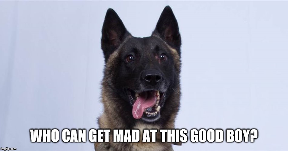 WHO CAN GET MAD AT THIS GOOD BOY? | made w/ Imgflip meme maker