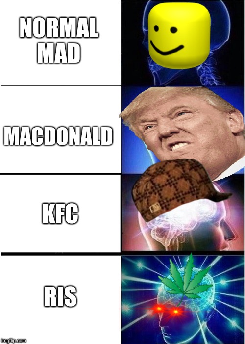 Expanding Brain Meme | NORMAL MAD; MACDONALD; KFC; RIS | image tagged in memes,expanding brain | made w/ Imgflip meme maker