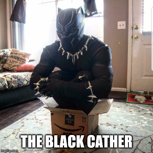 Black Panther as a real cat | THE BLACK CATHER | image tagged in superhero | made w/ Imgflip meme maker