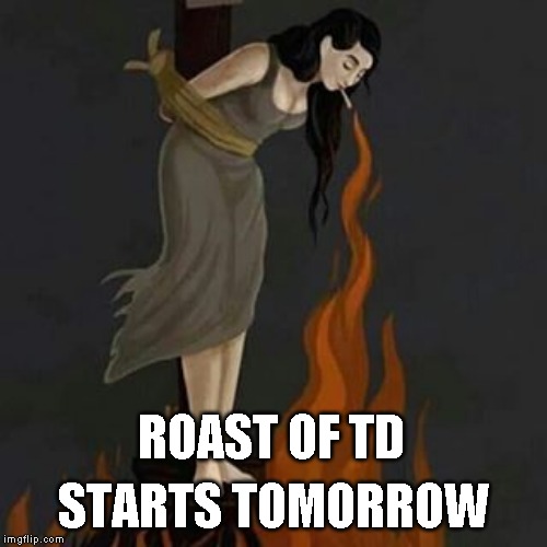 This weekend only Nov 2&3 | STARTS TOMORROW; ROAST OF TD | image tagged in recreation roast event | made w/ Imgflip meme maker