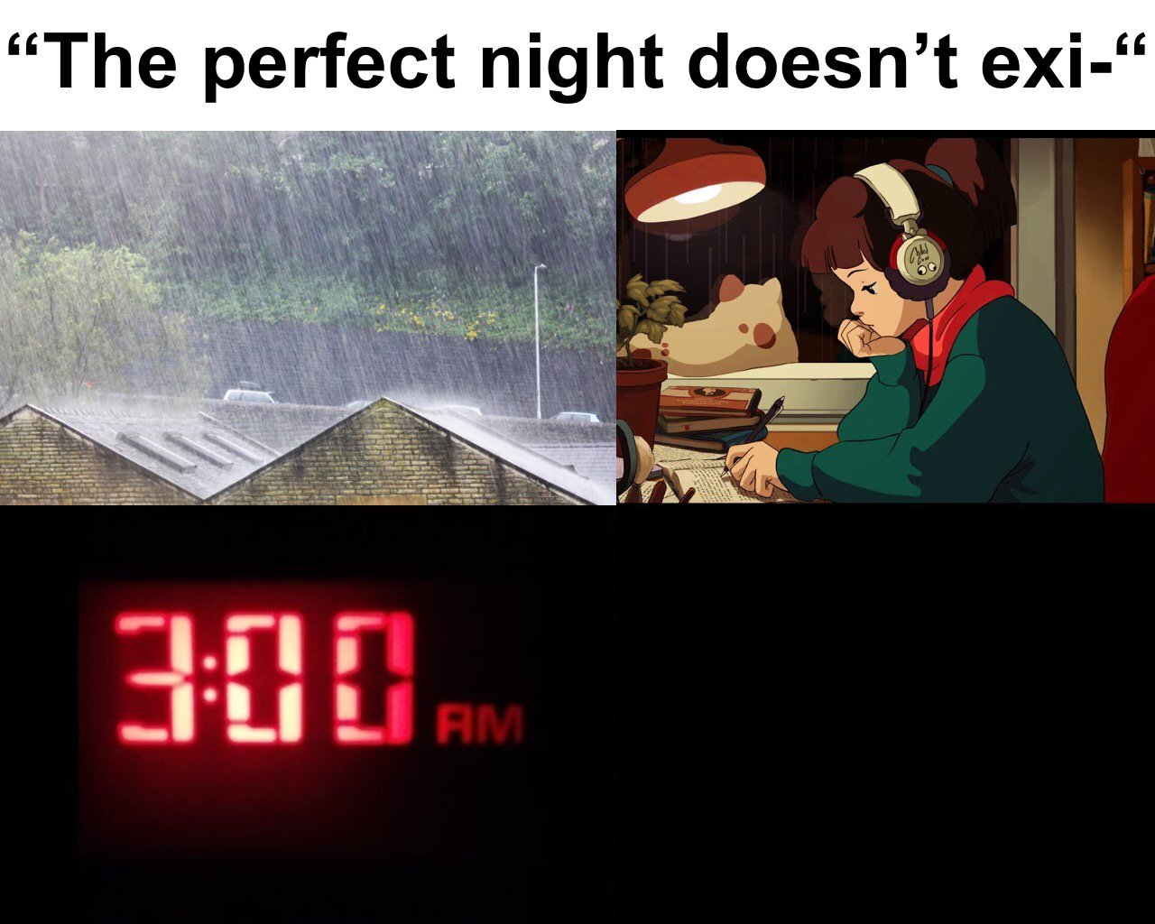 perfect night Blank Meme Template