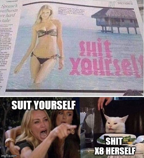 DJ; SUIT YOURSELF; SHIT 
X8 HERSELF | image tagged in woman yelling at cat | made w/ Imgflip meme maker