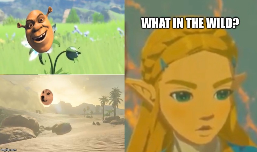 WHAT IN THE WILD? | image tagged in zelda | made w/ Imgflip meme maker
