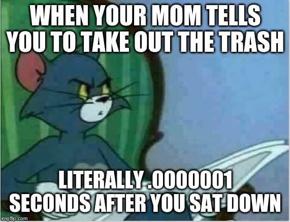 Interrupting Tom's Read | WHEN YOUR MOM TELLS YOU TO TAKE OUT THE TRASH; LITERALLY .0000001 SECONDS AFTER YOU SAT DOWN | image tagged in interrupting tom's read | made w/ Imgflip meme maker