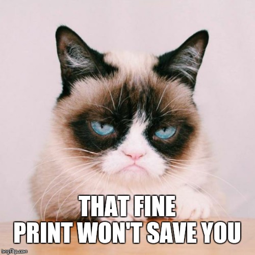 grumpy cat again | THAT FINE PRINT WON'T SAVE YOU | image tagged in grumpy cat again | made w/ Imgflip meme maker