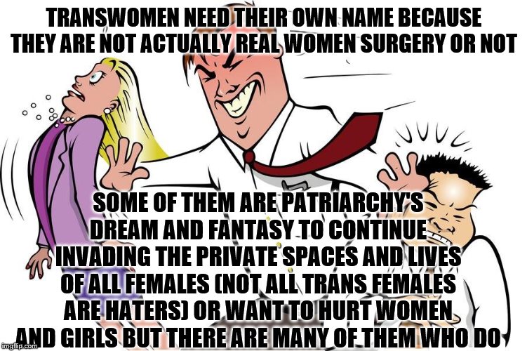 Man shoving woman and man aside | TRANSWOMEN NEED THEIR OWN NAME BECAUSE THEY ARE NOT ACTUALLY REAL WOMEN SURGERY OR NOT; SOME OF THEM ARE PATRIARCHY'S DREAM AND FANTASY TO CONTINUE INVADING THE PRIVATE SPACES AND LIVES OF ALL FEMALES (NOT ALL TRANS FEMALES ARE HATERS) OR WANT TO HURT WOMEN AND GIRLS BUT THERE ARE MANY OF THEM WHO DO | image tagged in man shoving woman and man aside | made w/ Imgflip meme maker