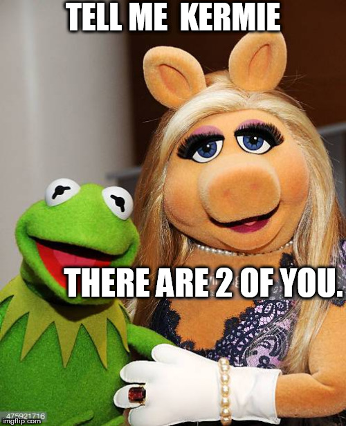 TELL ME  KERMIE THERE ARE 2 OF YOU. | made w/ Imgflip meme maker