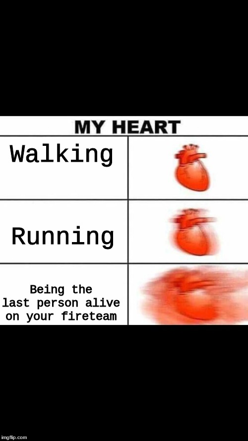 Walking; Running; Being the last person alive on your fireteam | image tagged in video games | made w/ Imgflip meme maker
