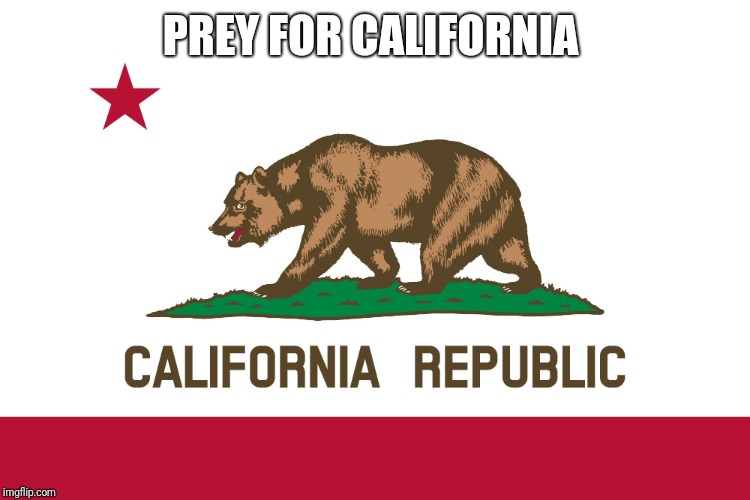 Prey for California | PREY FOR CALIFORNIA | image tagged in california flag | made w/ Imgflip meme maker