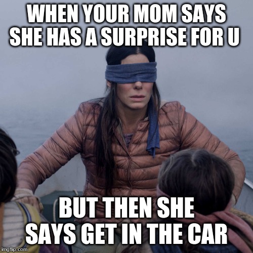 Bird Box Meme | WHEN YOUR MOM SAYS SHE HAS A SURPRISE FOR U; BUT THEN SHE SAYS GET IN THE CAR | image tagged in memes,bird box | made w/ Imgflip meme maker