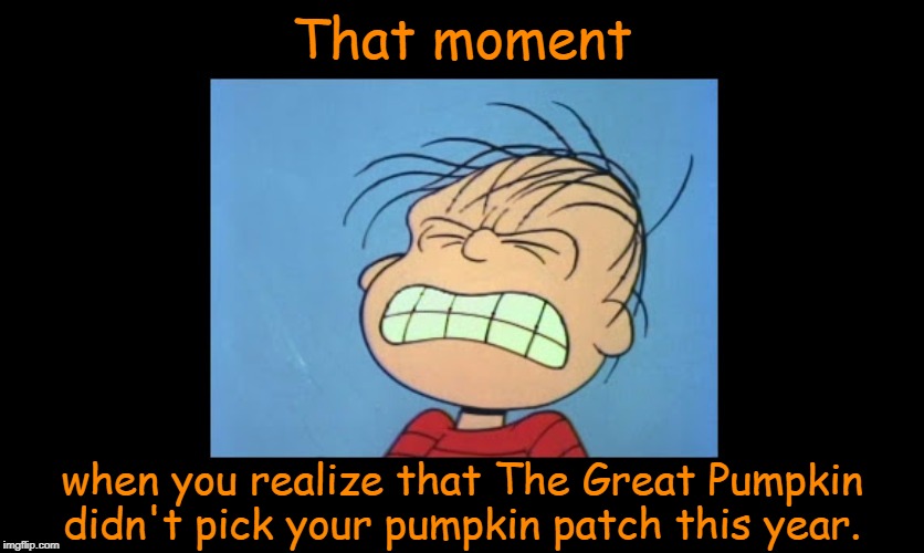 Better luck next year. | That moment; when you realize that The Great Pumpkin didn't pick your pumpkin patch this year. | image tagged in angry linus,peanuts,it's the great pumpkin charlie brown,memes | made w/ Imgflip meme maker