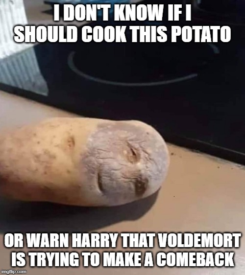 Mr. Potato Head | I DON'T KNOW IF I SHOULD COOK THIS POTATO; OR WARN HARRY THAT VOLDEMORT IS TRYING TO MAKE A COMEBACK | image tagged in harry potter,voldemort,memes | made w/ Imgflip meme maker