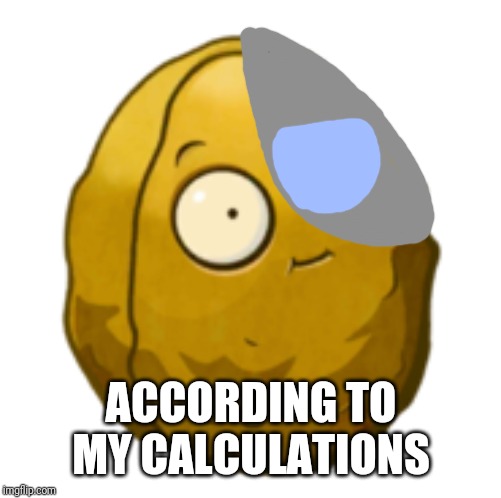 Wall-nut | ACCORDING TO MY CALCULATIONS | image tagged in wall-nut | made w/ Imgflip meme maker