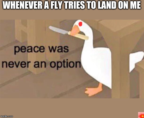 Untitled Goose Peace Was Never an Option | WHENEVER A FLY TRIES TO LAND ON ME | image tagged in untitled goose peace was never an option | made w/ Imgflip meme maker