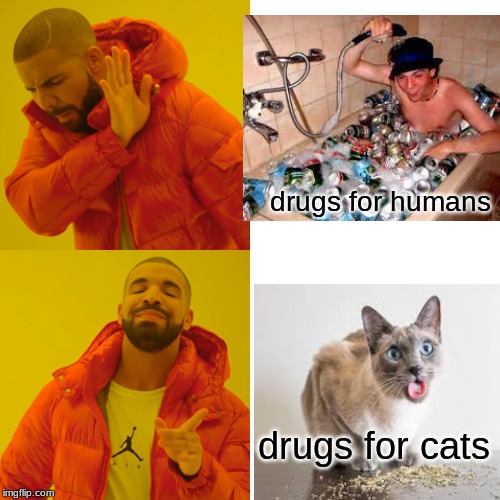 When to stop making drugs for things | drugs for humans; drugs for cats | image tagged in memes,drake hotline bling | made w/ Imgflip meme maker