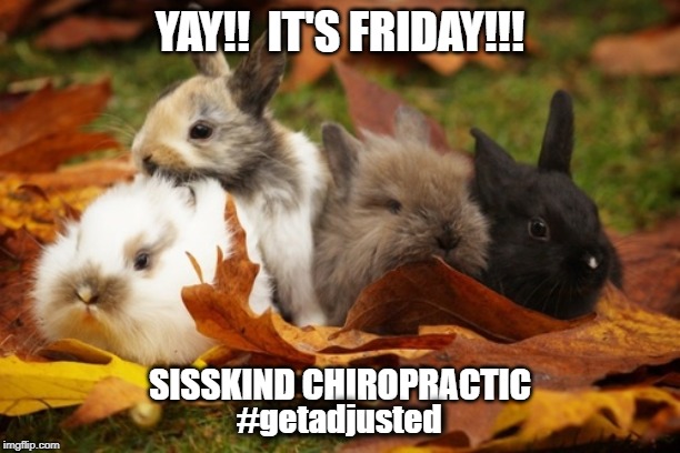 Yay!!  It's Friday!!! | YAY!!  IT'S FRIDAY!!! SISSKIND CHIROPRACTIC; #getadjusted | image tagged in yay it's friday | made w/ Imgflip meme maker