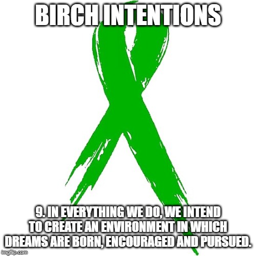 BIRCH INTENTIONS; 9. IN EVERYTHING WE DO, WE INTEND TO CREATE AN ENVIRONMENT IN WHICH DREAMS ARE BORN, ENCOURAGED AND PURSUED. | image tagged in birchtree,birch tree,birch intentions,mental health arkansas,mental illness arkansas,stigma | made w/ Imgflip meme maker
