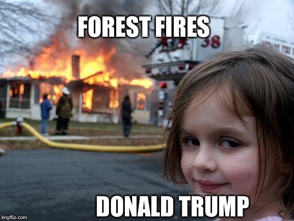 Is this reality!??! | FOREST FIRES; DONALD TRUMP | image tagged in memes,disaster girl | made w/ Imgflip meme maker