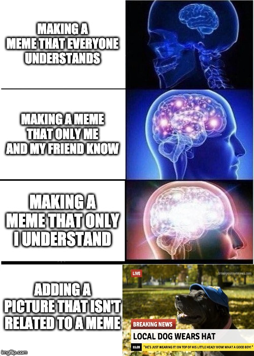 Expanding Brain Meme | MAKING A MEME THAT EVERYONE UNDERSTANDS; MAKING A MEME THAT ONLY ME AND MY FRIEND KNOW; MAKING A MEME THAT ONLY I UNDERSTAND; ADDING A PICTURE THAT ISN'T RELATED TO A MEME | image tagged in memes,expanding brain | made w/ Imgflip meme maker