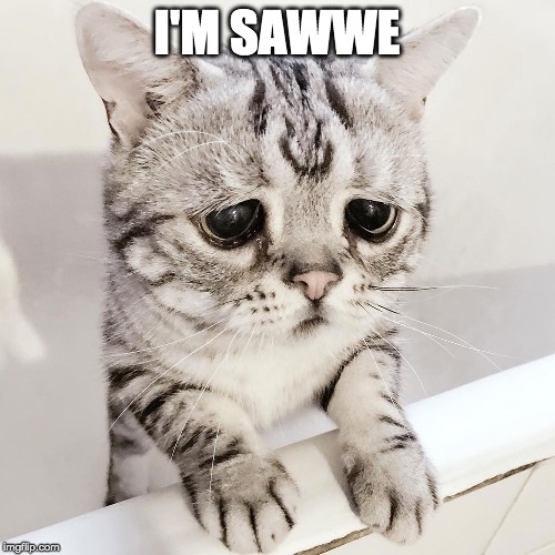 I'M SAWWE | made w/ Imgflip meme maker