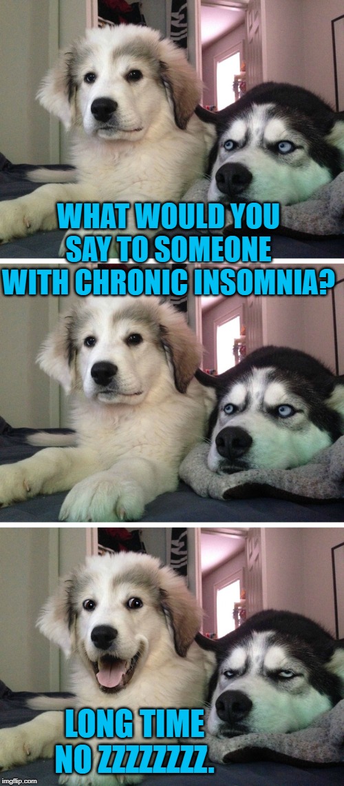 Bad pun dogs | WHAT WOULD YOU SAY TO SOMEONE WITH CHRONIC INSOMNIA? LONG TIME NO ZZZZZZZZ. | image tagged in bad pun dogs | made w/ Imgflip meme maker