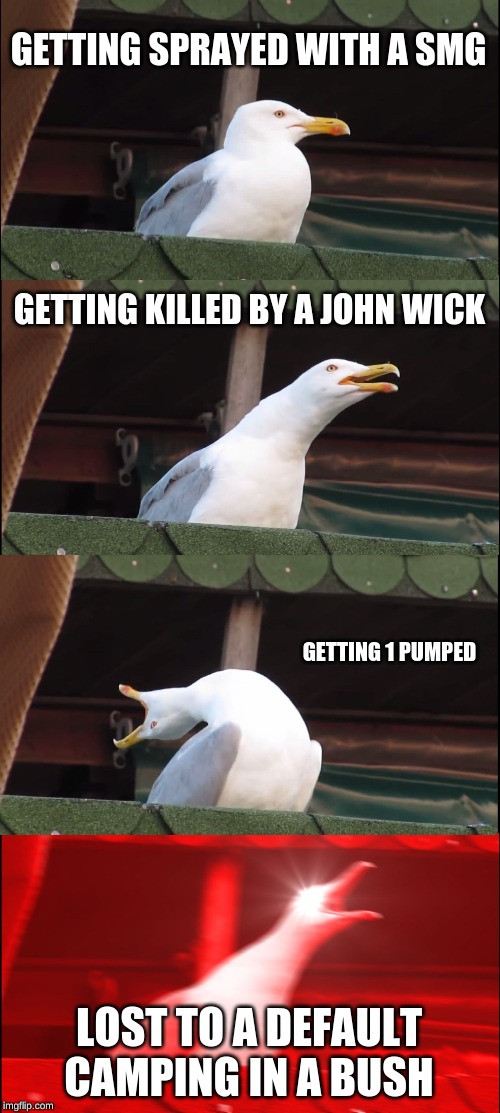 Inhaling Seagull | GETTING SPRAYED WITH A SMG; GETTING KILLED BY A JOHN WICK; GETTING 1 PUMPED; LOST TO A DEFAULT CAMPING IN A BUSH | image tagged in memes,inhaling seagull | made w/ Imgflip meme maker
