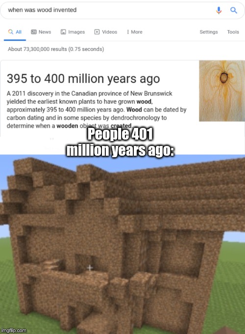 Dirt House | People 401 million years ago: | image tagged in minecraft,wood,dirt | made w/ Imgflip meme maker