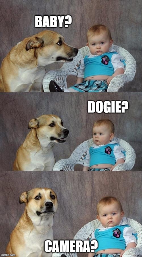 Dad Joke Dog Meme | BABY? DOGIE? CAMERA? | image tagged in memes,dad joke dog | made w/ Imgflip meme maker