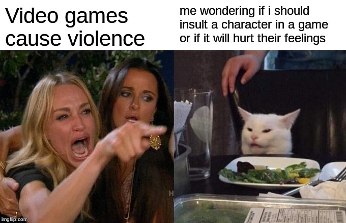 Woman Yelling At Cat Meme | Video games cause violence; me wondering if i should insult a character in a game or if it will hurt their feelings | image tagged in memes,woman yelling at a cat | made w/ Imgflip meme maker