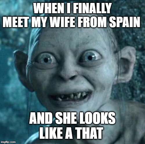 Gollum | WHEN I FINALLY MEET MY WIFE FROM SPAIN; AND SHE LOOKS LIKE A THAT | image tagged in memes,gollum | made w/ Imgflip meme maker