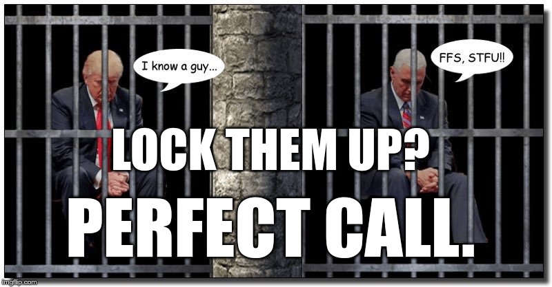 Perfect Call | LOCK THEM UP? PERFECT CALL. | image tagged in lock him up,lock them up,impeach trump,perfect call | made w/ Imgflip meme maker