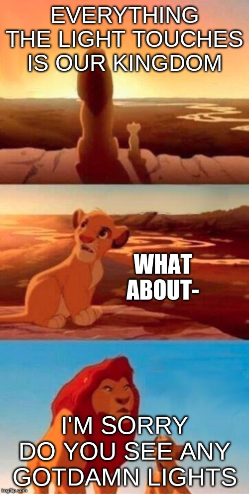 Lion King |  EVERYTHING THE LIGHT TOUCHES IS OUR KINGDOM; WHAT ABOUT-; I'M SORRY DO YOU SEE ANY GOTDAMN LIGHTS | image tagged in lion king | made w/ Imgflip meme maker