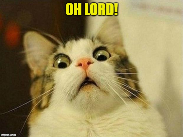 Scared Cat Meme | OH LORD! | image tagged in memes,scared cat | made w/ Imgflip meme maker