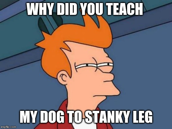 Futurama Fry | WHY DID YOU TEACH; MY DOG TO STANKY LEG | image tagged in memes,futurama fry | made w/ Imgflip meme maker