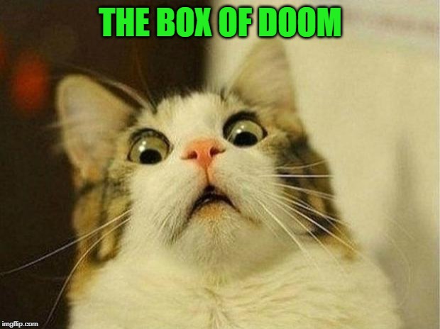 Scared Cat Meme | THE BOX OF DOOM | image tagged in memes,scared cat | made w/ Imgflip meme maker