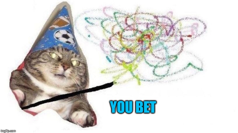 Wizard Cat | YOU BET | image tagged in wizard cat | made w/ Imgflip meme maker