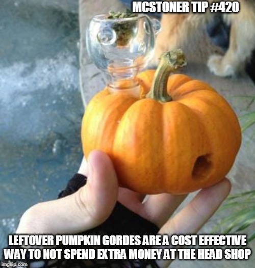 MCSTONER TIP #420; LEFTOVER PUMPKIN GORDES ARE A COST EFFECTIVE WAY TO NOT SPEND EXTRA MONEY AT THE HEAD SHOP | image tagged in gordes,pumpkin halloween charlie brown kitty cat dog stoner weed pot bowl | made w/ Imgflip meme maker
