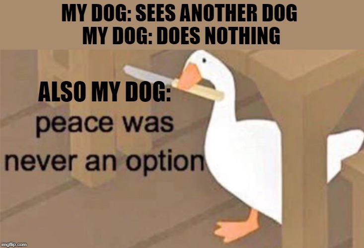 she randomly does that |  MY DOG: SEES ANOTHER DOG 
MY DOG: DOES NOTHING; ALSO MY DOG: | image tagged in untitled goose peace was never an option | made w/ Imgflip meme maker
