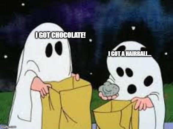 charlie brown halloween | I GOT CHOCOLATE! I GOT A HAIRBALL... | image tagged in charlie brown halloween | made w/ Imgflip meme maker