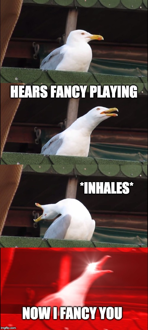 Inhaling Seagull Meme | HEARS FANCY PLAYING; *INHALES*; NOW I FANCY YOU | image tagged in memes,inhaling seagull | made w/ Imgflip meme maker