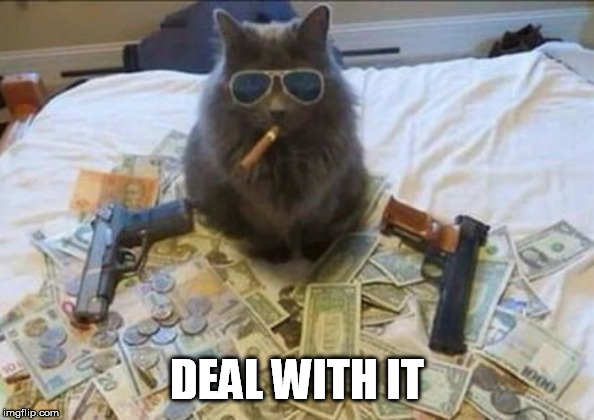 DEAL WITH IT | made w/ Imgflip meme maker