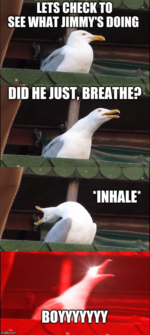 Inhaling Seagull | LETS CHECK TO SEE WHAT JIMMY'S DOING; DID HE JUST, BREATHE? *INHALE*; BOYYYYYYY | image tagged in memes,inhaling seagull | made w/ Imgflip meme maker