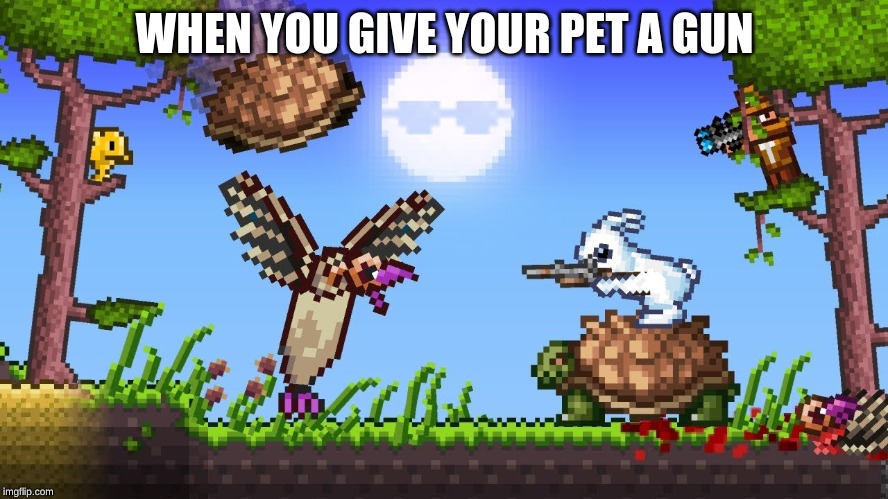 WHEN YOU GIVE YOUR PET A GUN | image tagged in turtles,rabbits | made w/ Imgflip meme maker