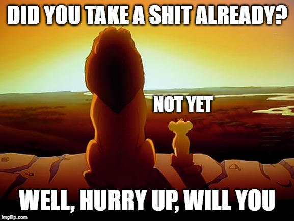 Lion King Meme | DID YOU TAKE A SHIT ALREADY? NOT YET; WELL, HURRY UP, WILL YOU | image tagged in memes,lion king | made w/ Imgflip meme maker