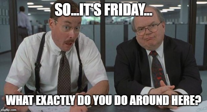 office space what do you do here | SO...IT'S FRIDAY... WHAT EXACTLY DO YOU DO AROUND HERE? | image tagged in office space what do you do here | made w/ Imgflip meme maker